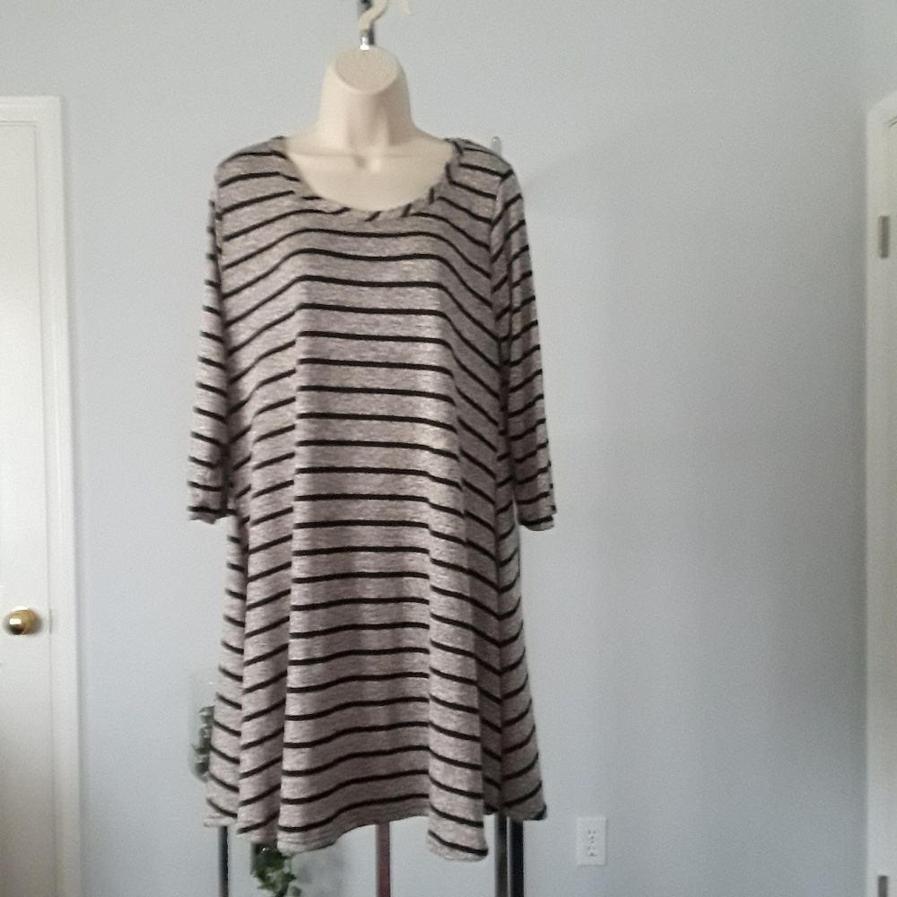PINC Dress Size 2X